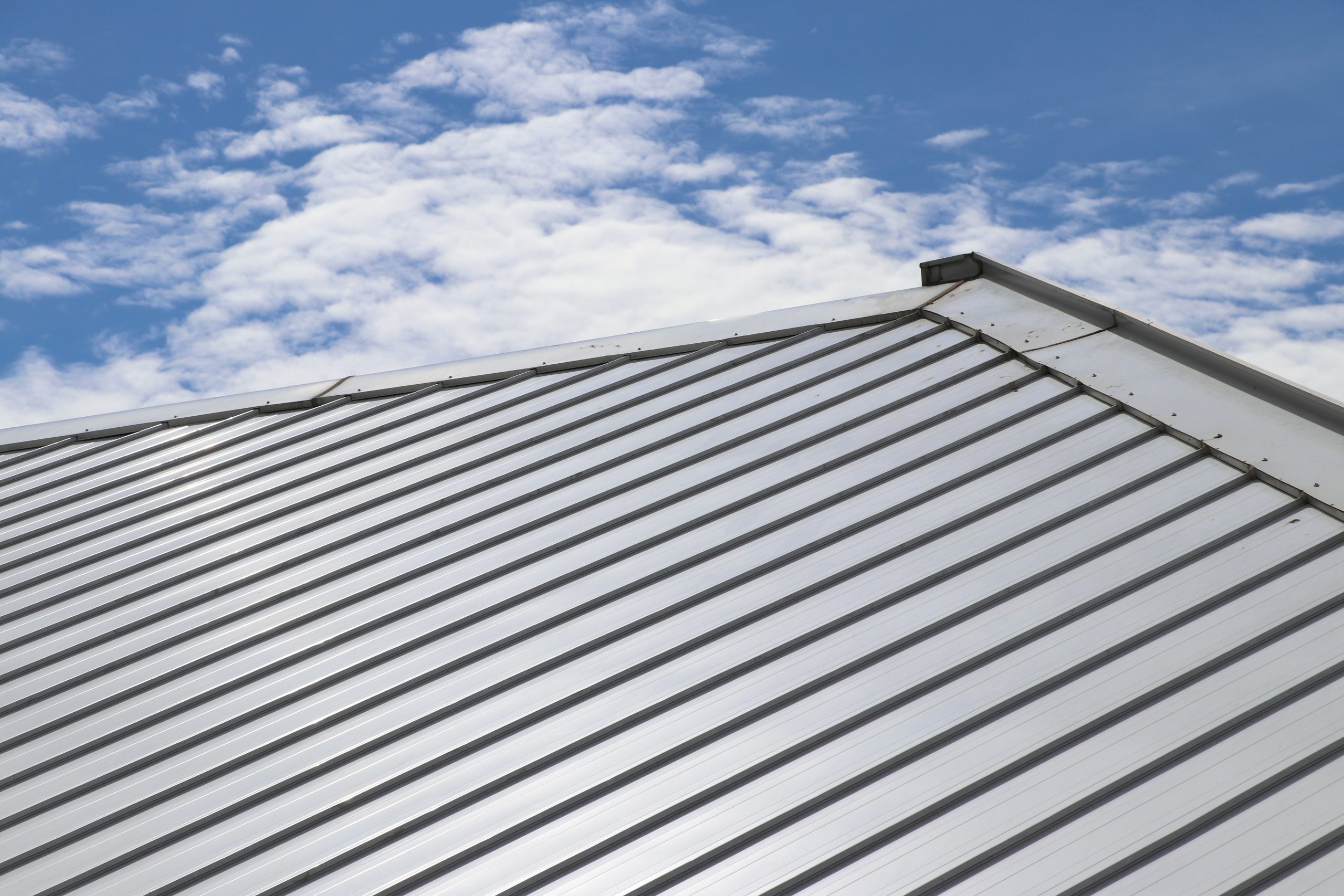 Fort Myres Metal Roofing